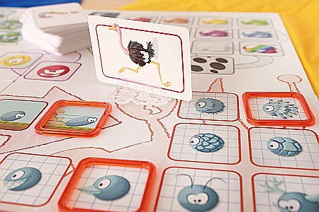 Concept Kids: Animals [3]
