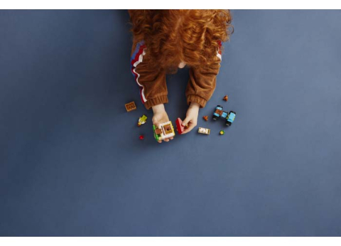 Cotetul gainilor [3]