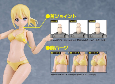 Cutie Honey Nova Plastic Model Kit PLAMATEA Muse Body: Ichika Bikini Ver. B Type 15 cm [5]