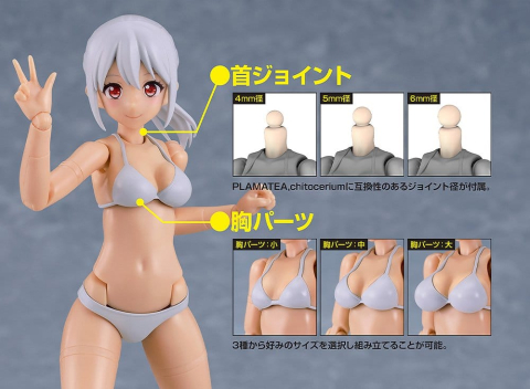 Cutie Honey Nova Plastic Model Kit PLAMATEA Muse Body: Ichika Bikini Ver. C Type 15 cm [5]