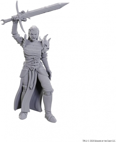 Dungeons and Dragons - D&D Nolzur’s Marvelous Miniatures – Blackguard