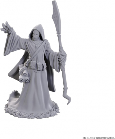 Dungeons and Dragons - D&D Nolzur’s Marvelous Miniatures – Star Spawn Larva Mage