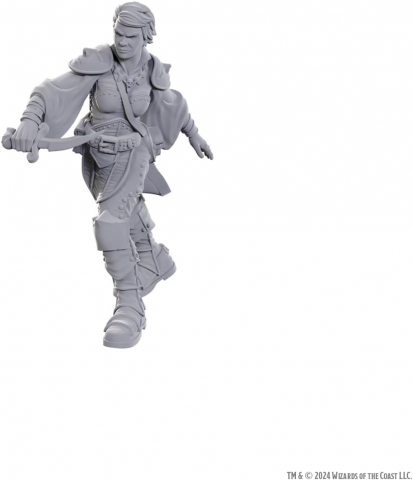 Dungeons and Dragons - D&D Nolzur’s Marvelous Miniatures – Swashbuckler