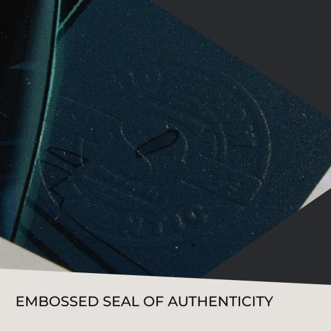 DC Comics Art Print Catwoman: Nine Lives 61 x 41 cm - unframed [4]