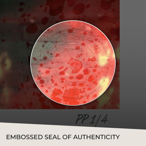 DC Comics Art Print Punchline (The Joker 80th Anniversary 100-Page Super Spectacular #1 (2020)) 61 x 46 cm - unframed [3]