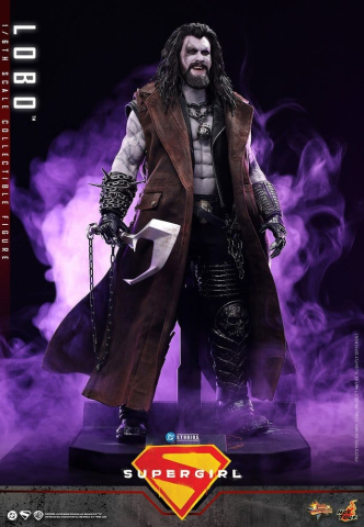 DC Comics Movie Masterpiece Action Figure 1/6 Lobo 33 cm [1]