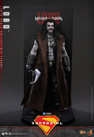 DC Comics Movie Masterpiece Action Figure 1/6 Lobo 33 cm [10]