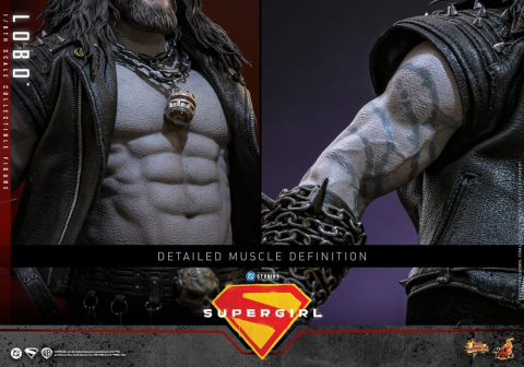 DC Comics Movie Masterpiece Action Figure 1/6 Lobo 33 cm [16]
