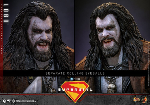 DC Comics Movie Masterpiece Action Figure 1/6 Lobo 33 cm [13]