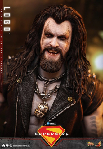 DC Comics Movie Masterpiece Action Figure 1/6 Lobo 33 cm [11]