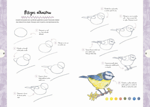 Desen in 10 pasi: Natura – Ghid creativ 7+ ani [2]