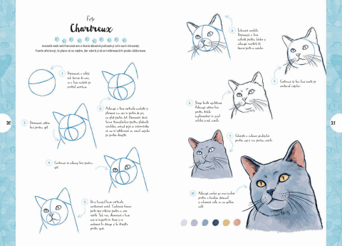 Desen in 10 pasi: Pisici – Ghid desen 7+ ani [2]