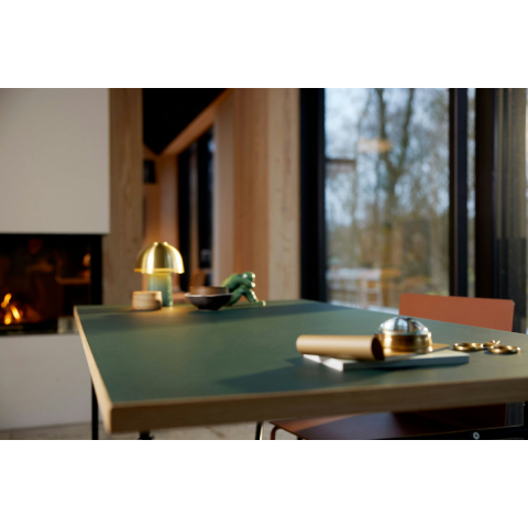 Diorama Urmarire cu speederul pe Endor [3]