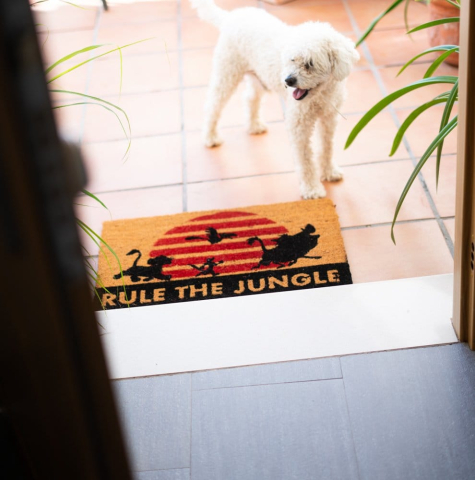 Disney The Lion King Doormat Rule The Jungle 40 x 60 cm [5]