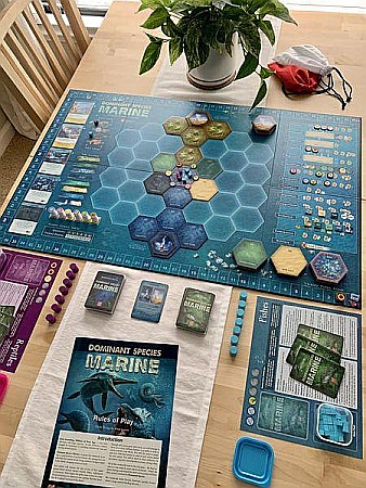 Dominant Species: Marine [3]