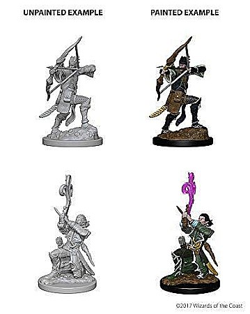 Nolzur - Dungeond and Dragons Nolzurs Marvelous Miniatures - Elf Male Bard