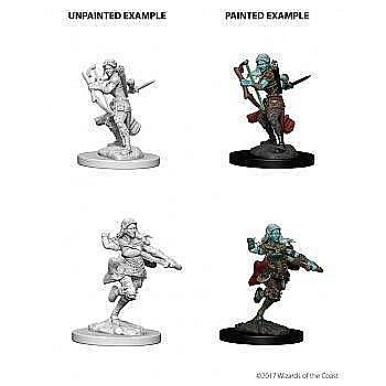 Dungeons and Dragons - Dungeons and Dragons Nolzurs Marvelous Miniatures - Air Genasi Female Rogue