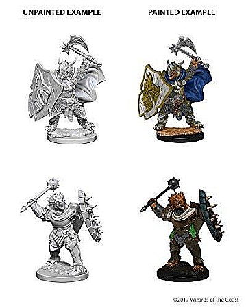 Dungeons and Dragons - Dungeons and Dragons: Nolzurs Marvelous Miniatures - Dragonborn Male Paladin
