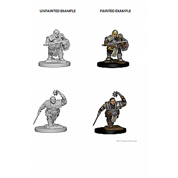 Nolzur - Dungeons and Dragons Nolzurs Marvelous Miniatures - Dwarf Female Fighter
