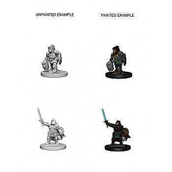 Nolzur - Dungeons and Dragons Nolzurs Marvelous Miniatures - Dwarf Female Paladin