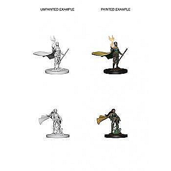 Dungeons and Dragons - Dungeons and Dragons Nolzurs Marvelous Miniatures - Elf Female Druid