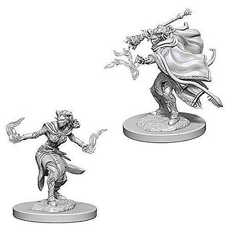 Dungeons and Dragons - Dungeons and Dragons - Nolzurs Marvelous Miniatures: Female Tiefling Warlock