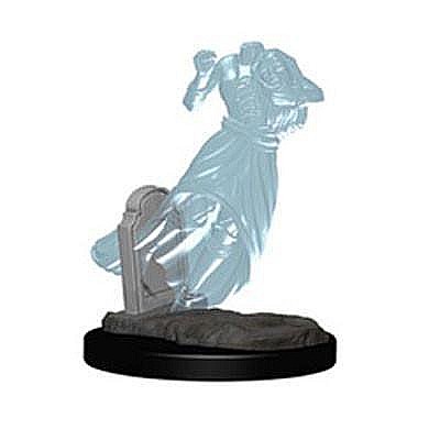 Nolzur - Dungeons and Dragons: Nolzurs Marvelous Unpainted Miniatures - Ghost and Banshee