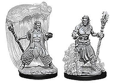 Nolzur - Dungeons and Dragons: Nolzurs Marvelous Unpainted Miniatures - Water Genasi Male Druid