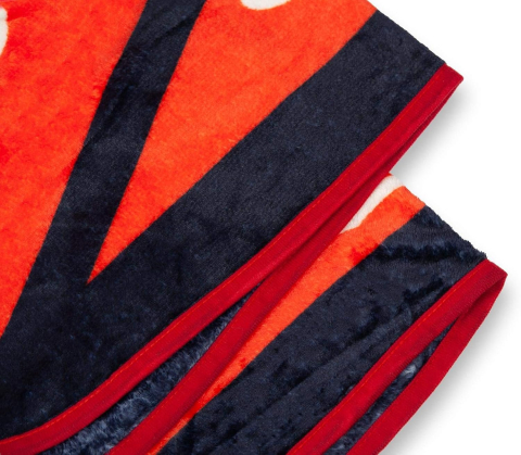 Dungeons & Dragons D20 Fleece Blanket [2]