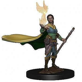 Figurine - Dungeons & Dragons Icons of the Realms Premium Figures: Elf Female Druid