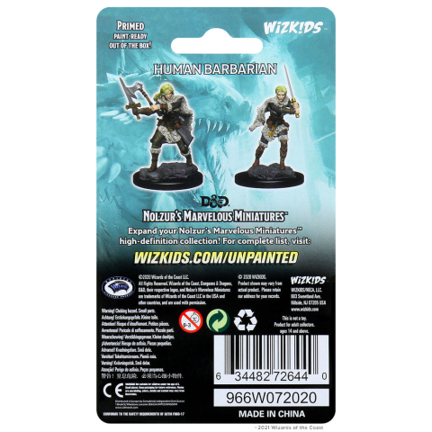 Dungeons & Dragons - Icons of the Realms Premium Figures: Human Female Barbarian [1]