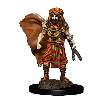 Dungeons and Dragons - Dungeons & Dragons Icons of the Realms: Premium Painted Figure - Human Druid Male