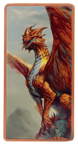 Dungeons & Dragons Ingot Set Magnet Warrior Limited Edition [10]