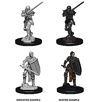 Dungeons and Dragons - Dungeons & Dragons Nolzurs Marvelous Miniatures - Female Human Fighter