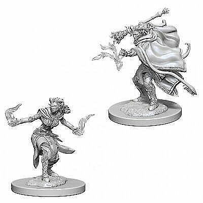 Nolzur - Dungeons & Dragons Nolzurs Marvelous Miniatures - Female Tiefling Warlock
