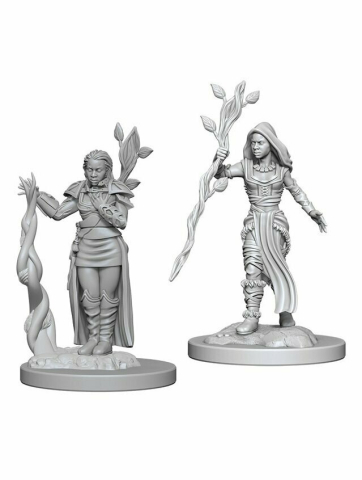 Nolzur - Dungeons & Dragons - Nolzurs Marvelous Miniatures - Human Druid Female