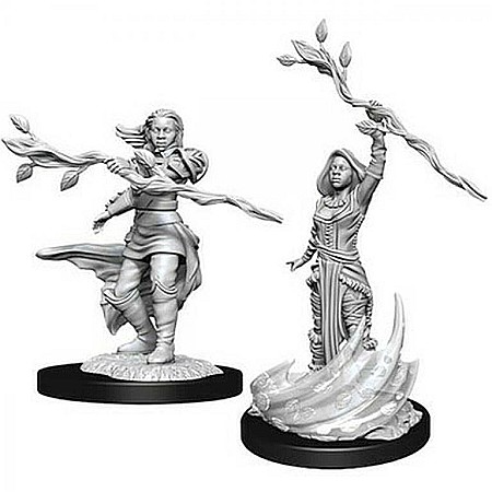 Dungeons and Dragons - Dungeons & Dragons - Nolzurs Marvelous Miniatures - Human Druid Female