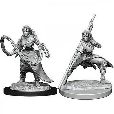 Nolzur - Dungeons & Dragons - Nolzurs Marvelous Miniatures - Human Monk Female