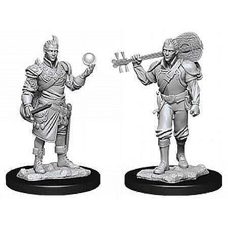 Nolzur - Dungeons & Dragons Nolzurs Marvelous Miniatures - Male Half-Elf Bard