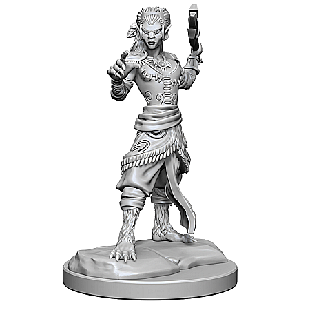 Nolzur - Dungeons & Dragons Nolzurs Marvelous Miniatures: Shifter Fighter