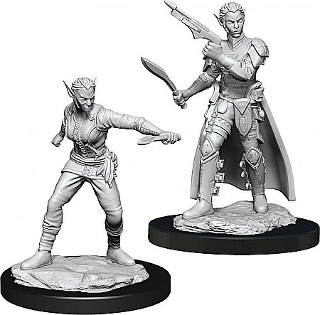 Nolzur - Dungeons & Dragons - Nolzurs Marvelous Miniatures - Shifter Rogue Female