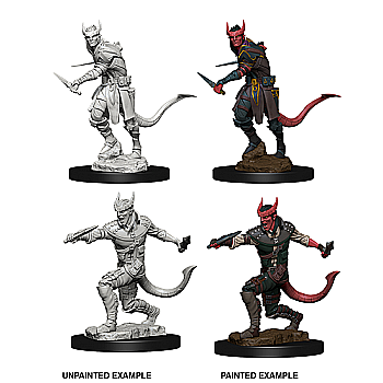 Nolzur - Dungeons & Dragons Nolzurs Marvelous Miniatures - Tiefling Male Rogue
