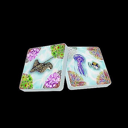 ECO: Coral Reef [2]