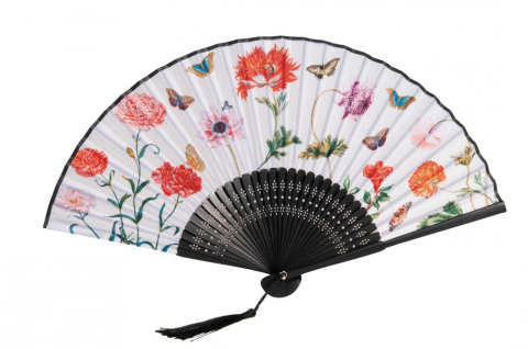 Jocuri si jucarii - Evantai Maria Sibylla Merian, Fridolin