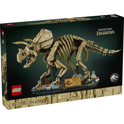Fosile de dinozaur: Triceratops [1]