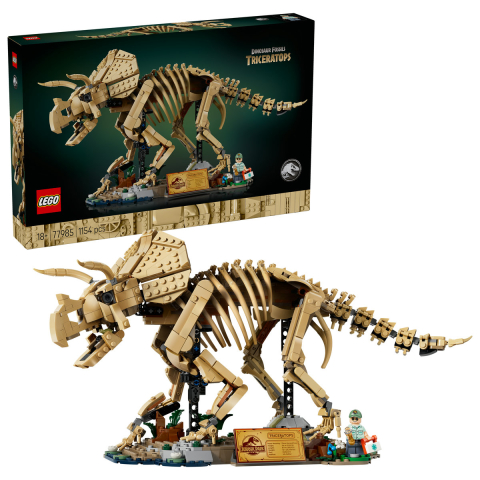 Fosile de dinozaur: Triceratops [0]