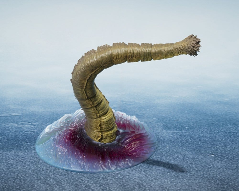 Godzilla 2016 S.H.MonsterArts Action Figures 3-Pack The Second Form, Thrid Form, Giant Unidentified Creature Set [2]