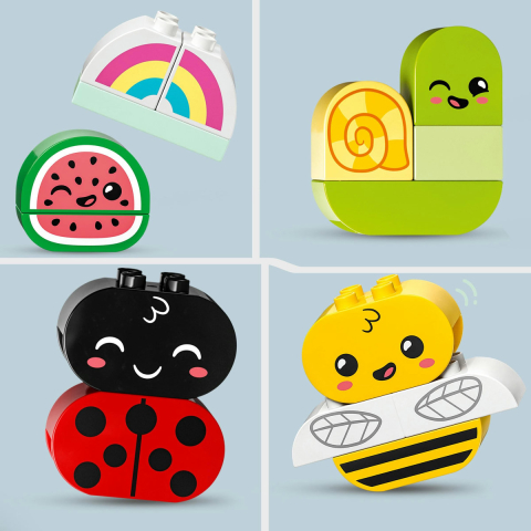 Gradina organica [8]