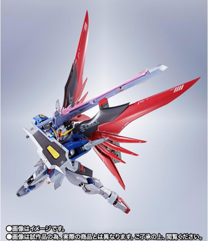 Gundam Metal Robot Spirits Destiny ReCoordinate [8]