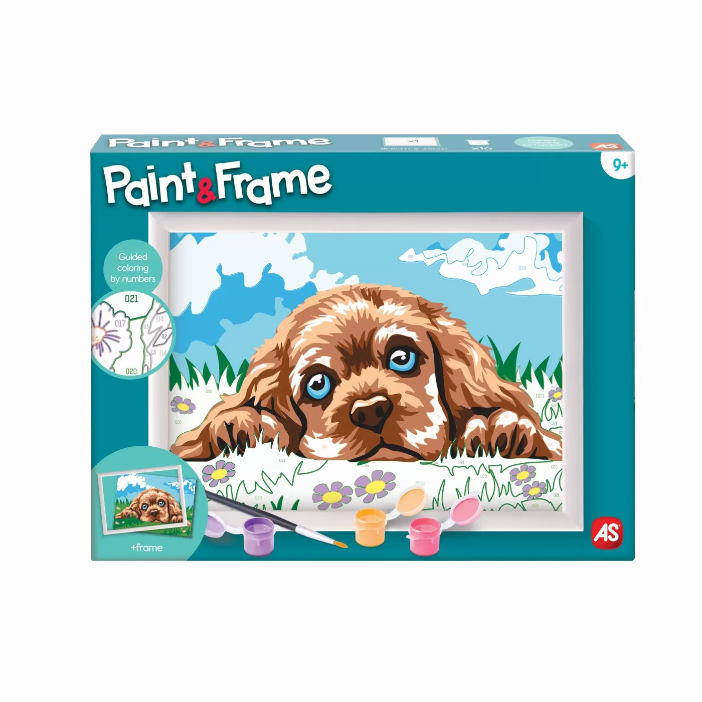 Creative - Paint & Frame Catelus Iubitor